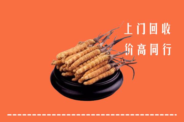 高价求购：汉中市勉县回收散虫草