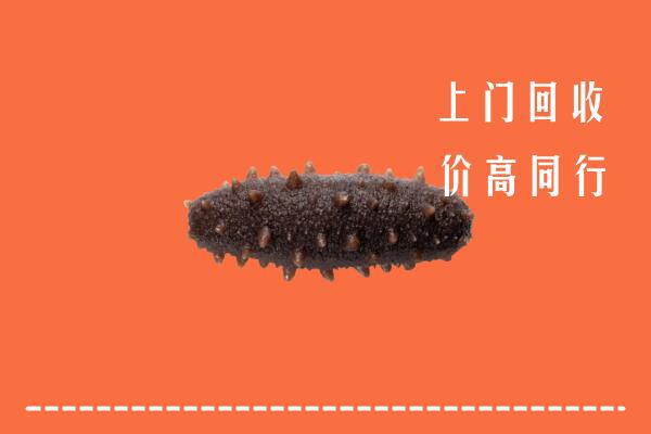 高价求购：汉中市勉县回收海参