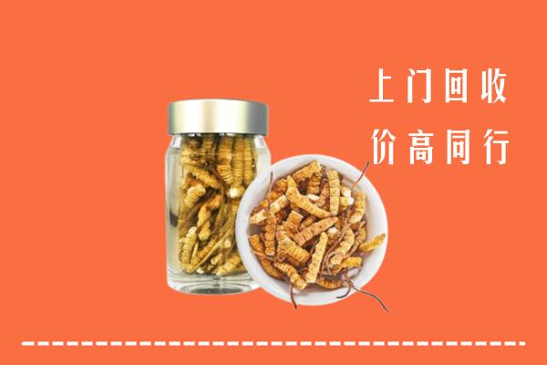 汉中市勉县回收冬虫夏草